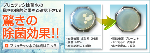 商品ラインナップ